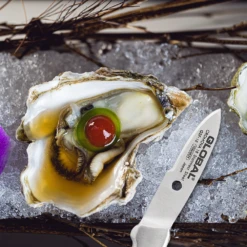 Global GSF22 - 11cm Utility Knife (GSF-22) -KITCHEN KNIVES Shop global gsf series 1