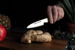 Global Ukon 9cm Paring Knife (GUF-30) -KITCHEN KNIVES Shop ukon lifestyle 11 guf 30